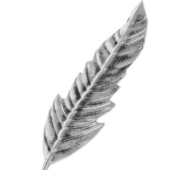 Photo de Dominique BECART